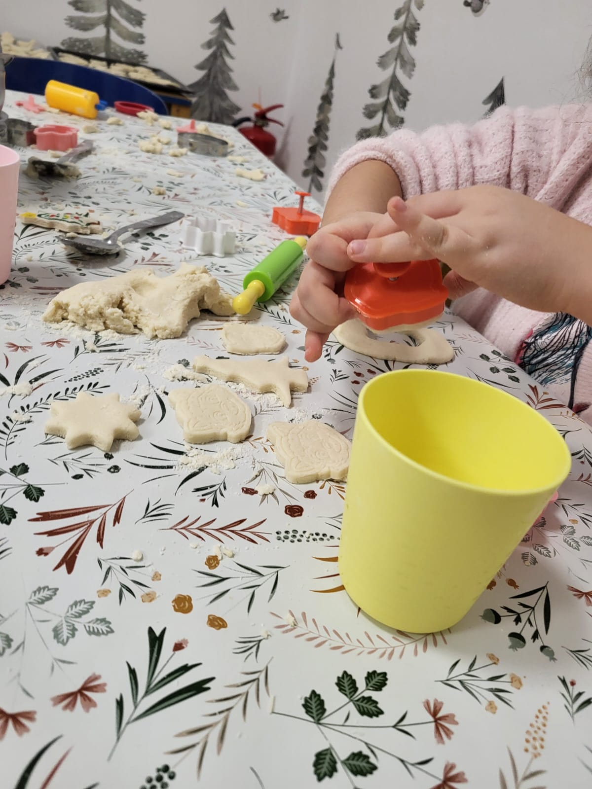 WhatsApp Image 2026-02-18 at 13.38.47